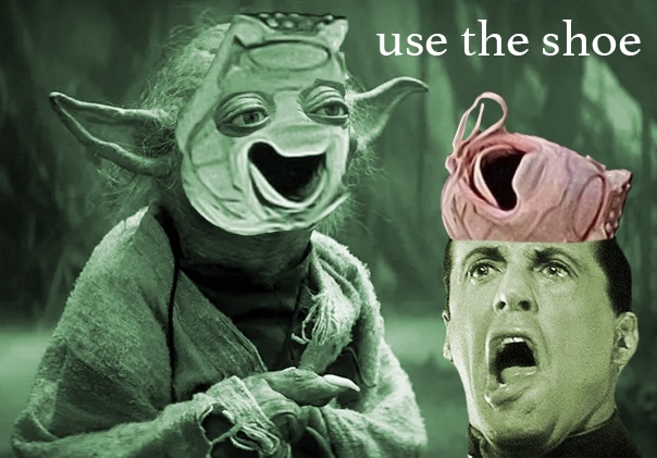 Meme